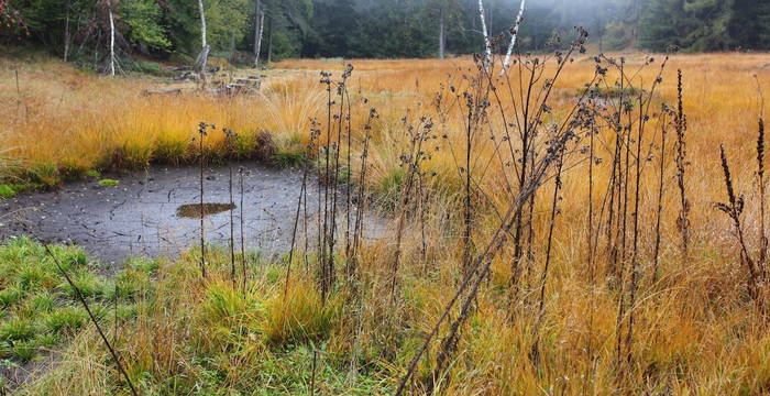 La Bedrina in autunno