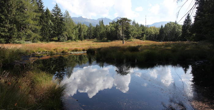 Riflessi alla Bedrina