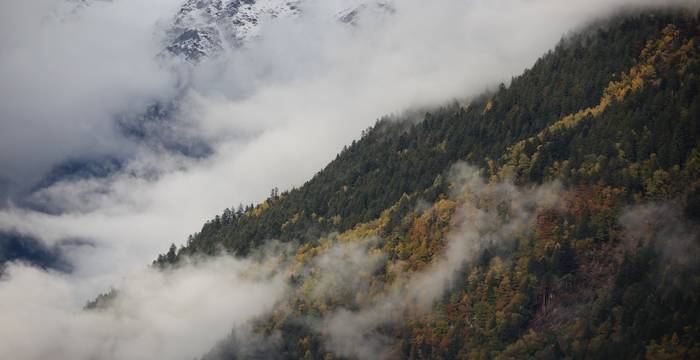 Dopo il temporale