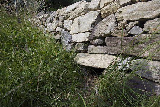 Muro a secco con rifugio per riccio.