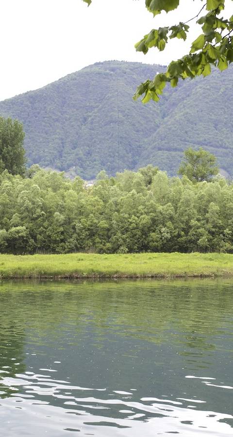 La foce del Ticino senza estrazione di inerti