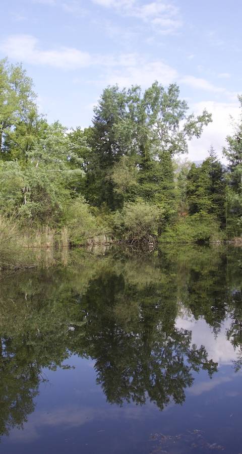 Lago di Cugnoli Curti