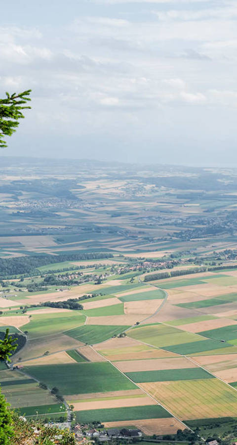 Immagine simbolica per la pianificazione territoriale - vista da una collina sul paesaggio con i suoi campi coltivati.